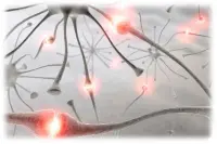 imagen variante neurogénica